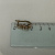 Серьги из золота с бриллиантами - Ювелирный магазин Регионголд - 50-5399463